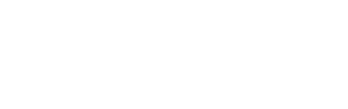 lhns_text_only_white_500x157