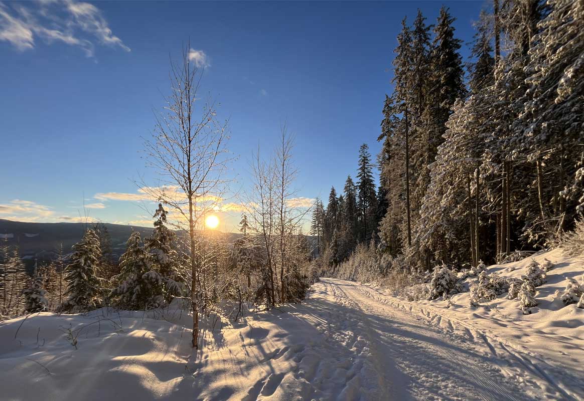 Larch Hills Sentinel Trail